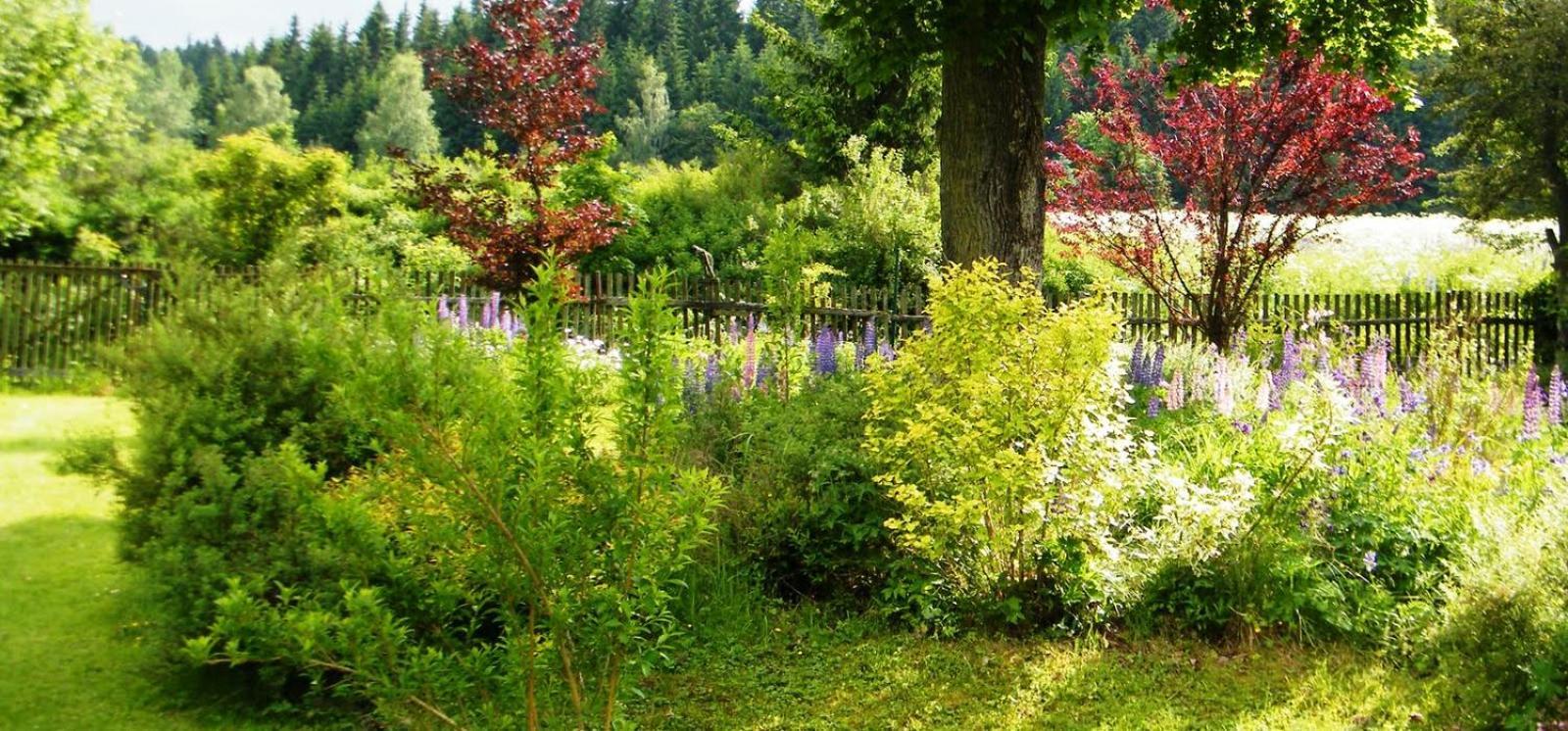 Rainmuehle Villa Marianske Lazne Luaran gambar