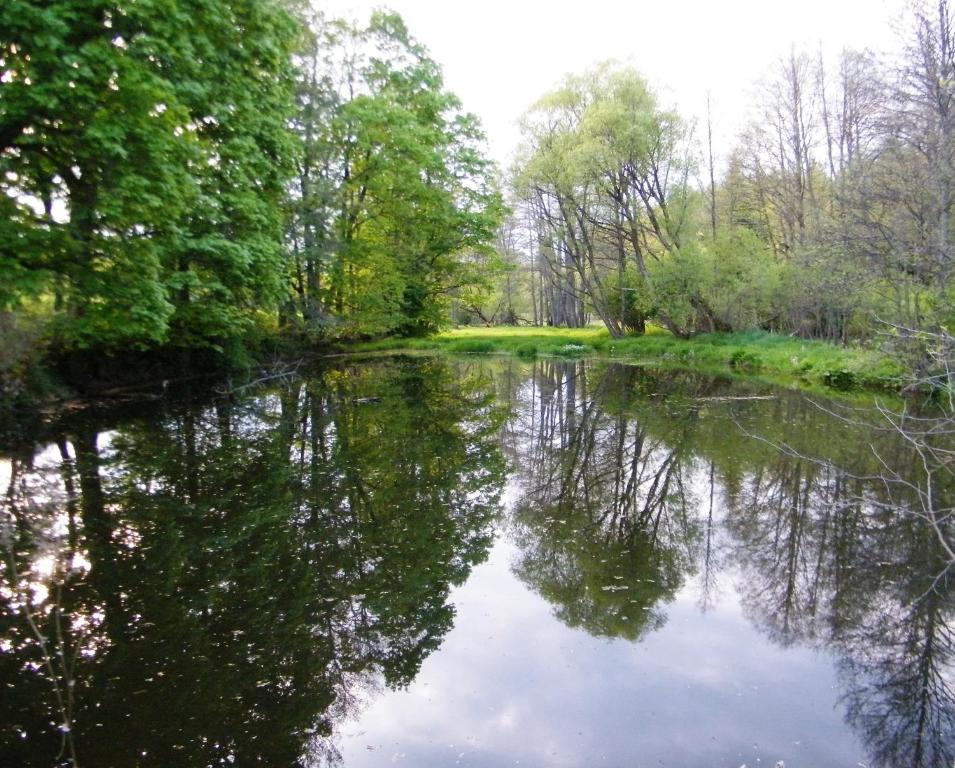 Rainmuehle Villa Marianske Lazne Luaran gambar