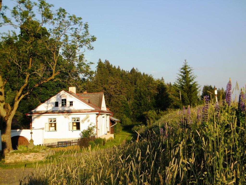 Rainmuehle Villa Marianske Lazne Luaran gambar
